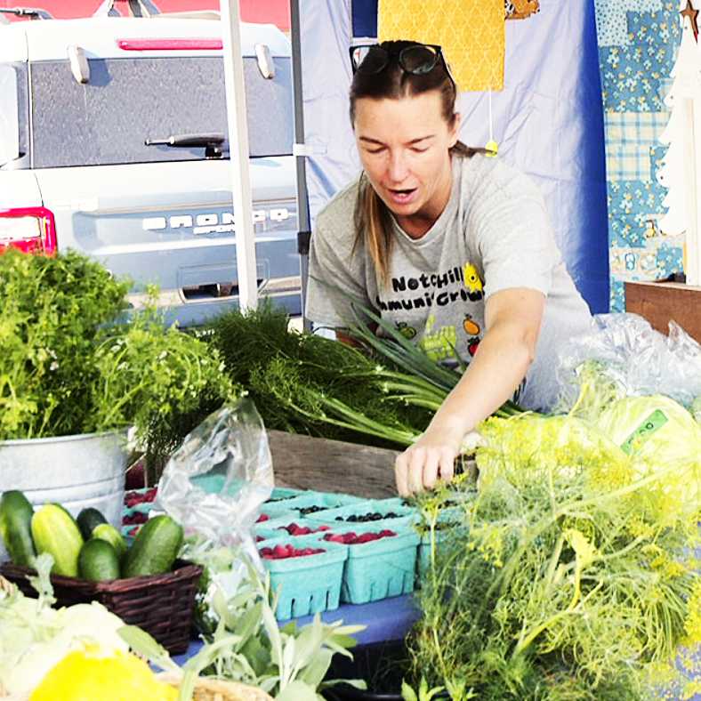 Notch Hill Community Growers